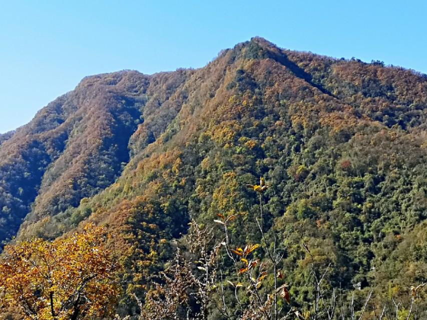 花甲之约，探索全新老年生活方式