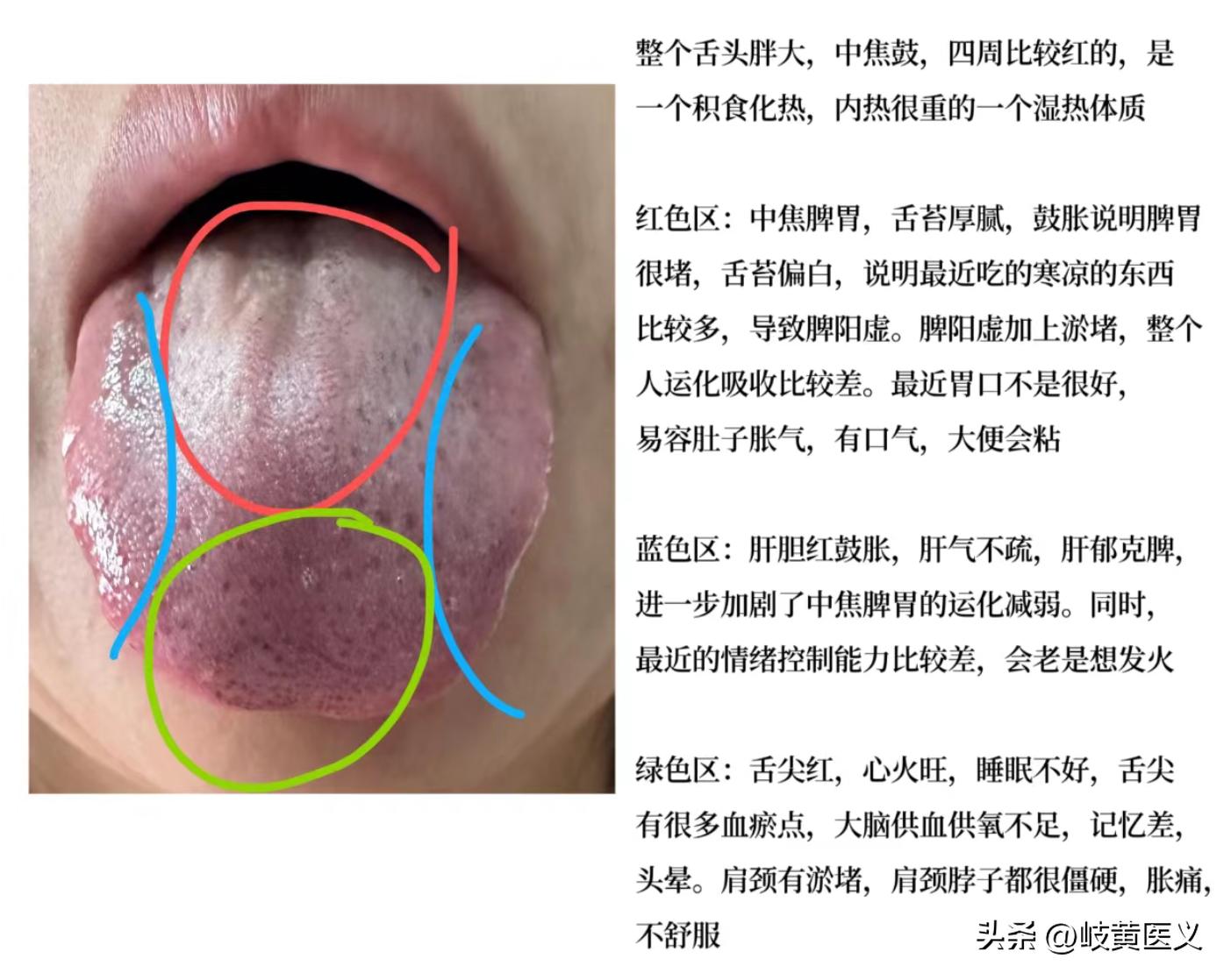 王鸿谟最新视频，探索前沿科技，展现创新风采