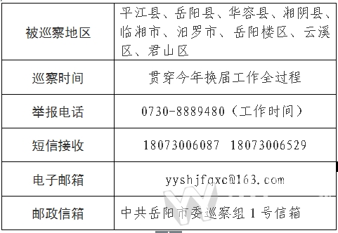 岳阳干部最新考察公示发布