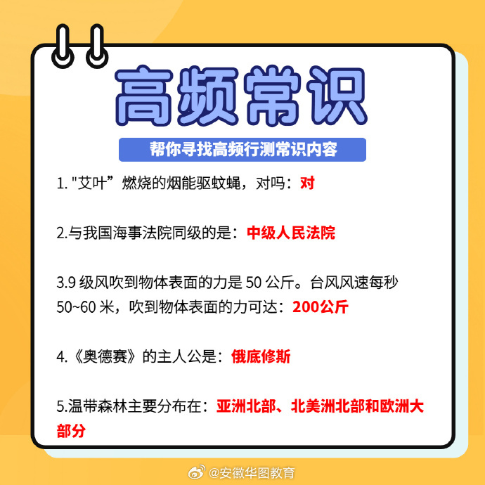 最新潮知识的深度探索与解析