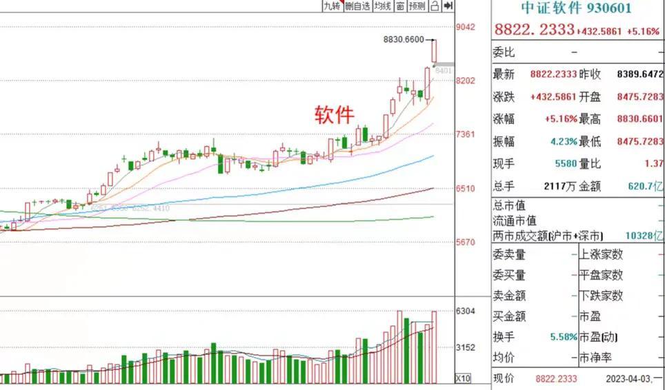 白酒基金最新动态，市场走势、投资机遇与挑战解析