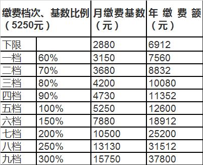 宜昌最新通告，城市发展的步伐加速，未来展望令人期待