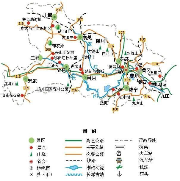 全球病毒地图揭示疫情现状与未来发展趋势