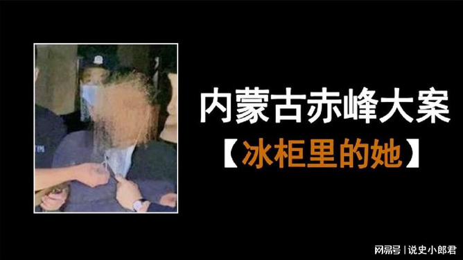 赤峰大案最新揭秘，深度探究案件内幕