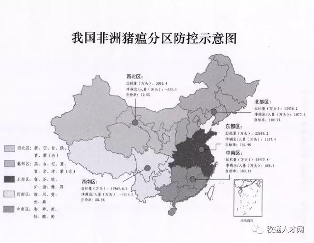 全国最新疫病，挑战与应对策略