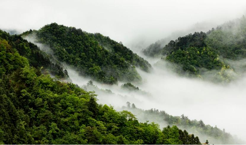 黄山面临疫情背景下的挑战与机遇并存局面