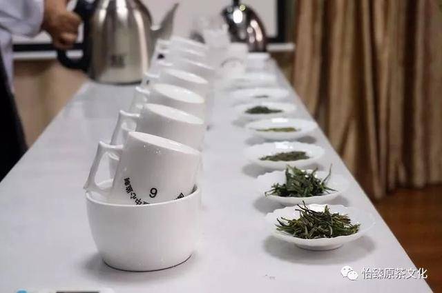 最新白茶品质口感与健康价值深度解析