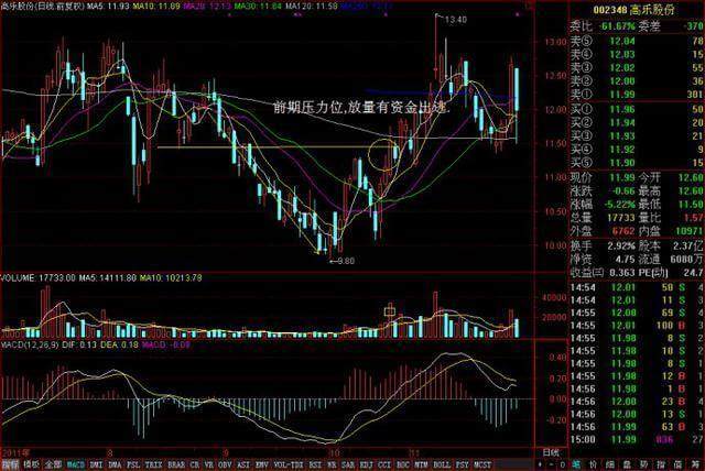 最新量价关系研究，揭秘市场动态的关键线索