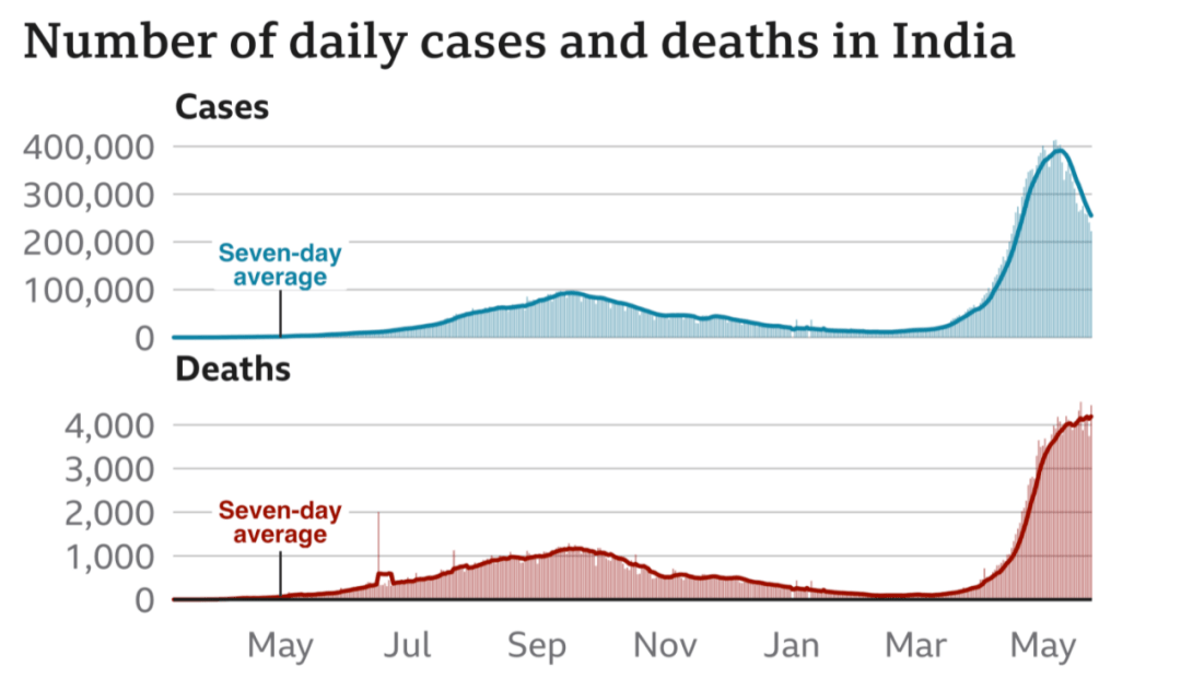 印度肺炎最新数据报告深度解析
