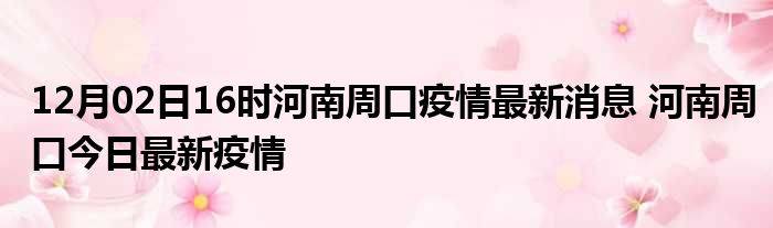 河南最新疫情动态解析与报告