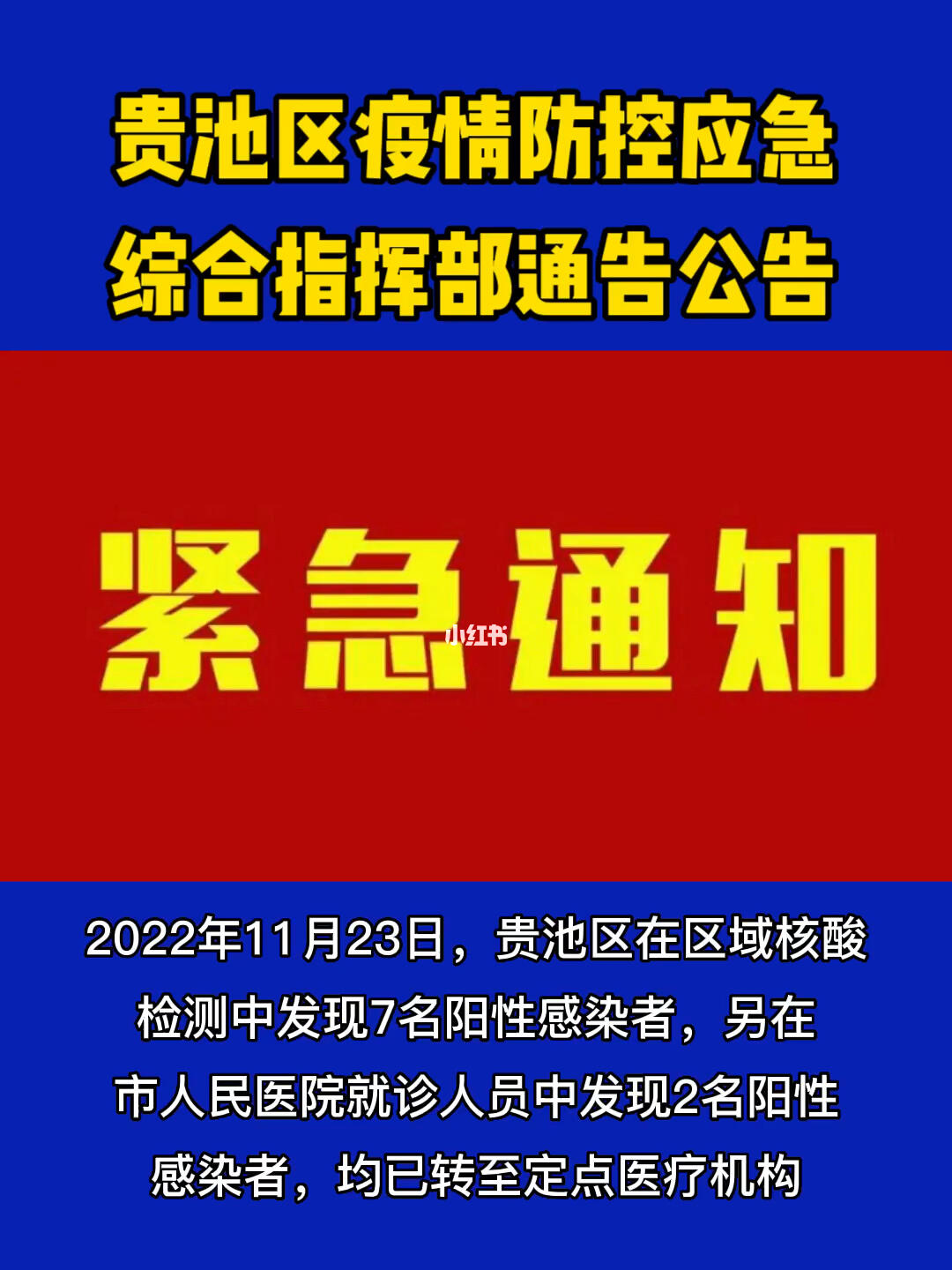 全球疫情最新动态分析与应对策略通知