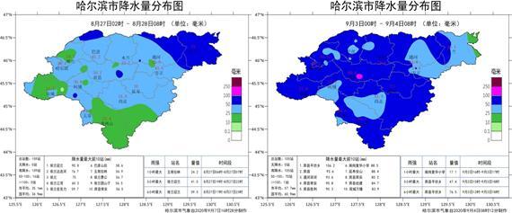 哈尔滨台风应对规划，筑牢安全防线，迎接挑战