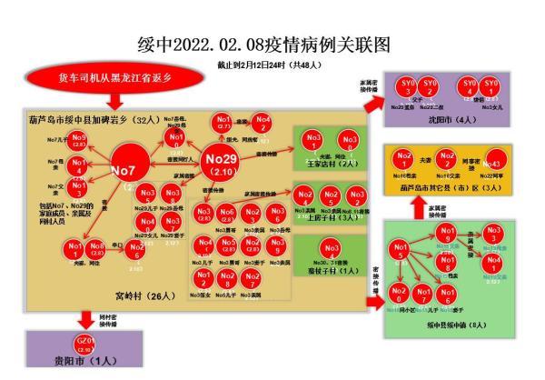 辽宁最新肺炎病例深度分析