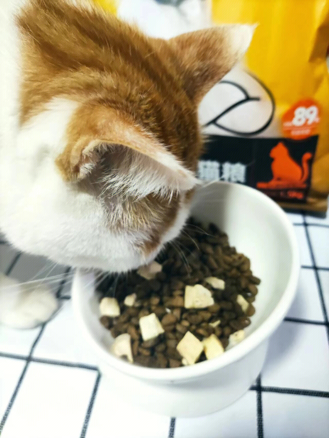 猫粮软化后猫咪兴趣缺失的原因及解决策略