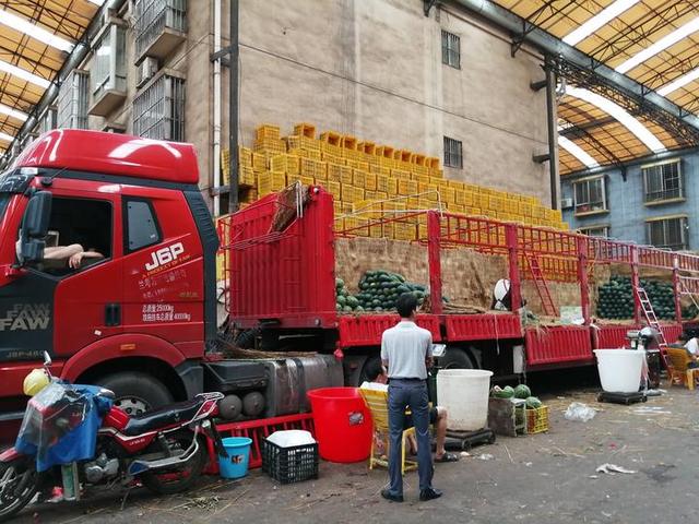 贵港宠物市场繁荣背后的多维探析