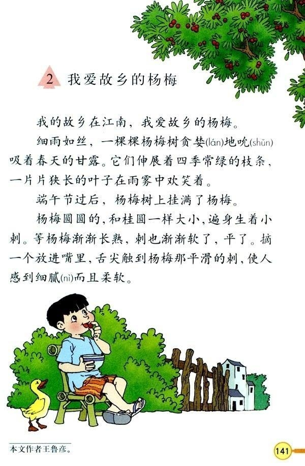 杨梅情深，故乡的甜蜜记忆