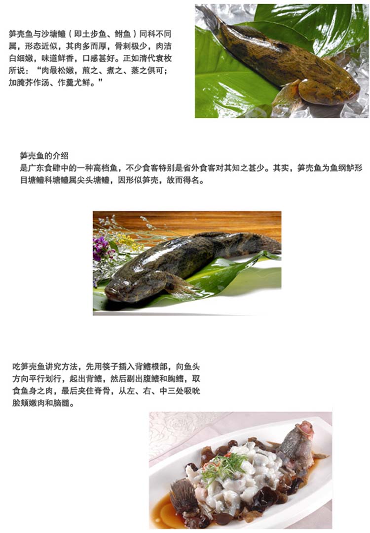 笋壳鱼的做法大全详解