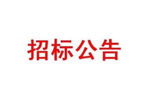 涡阳招投标中标公告全面解析