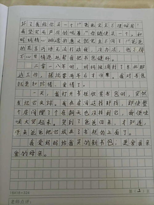 探索作文世界的深度与广度，理解的力量