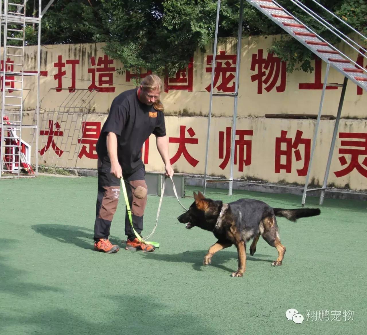 翔鹏警犬宠物学校，培育忠诚伙伴，传承深厚的人犬情感