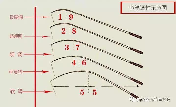 全面解析，鱼竿与配线的选择及应用奥秘