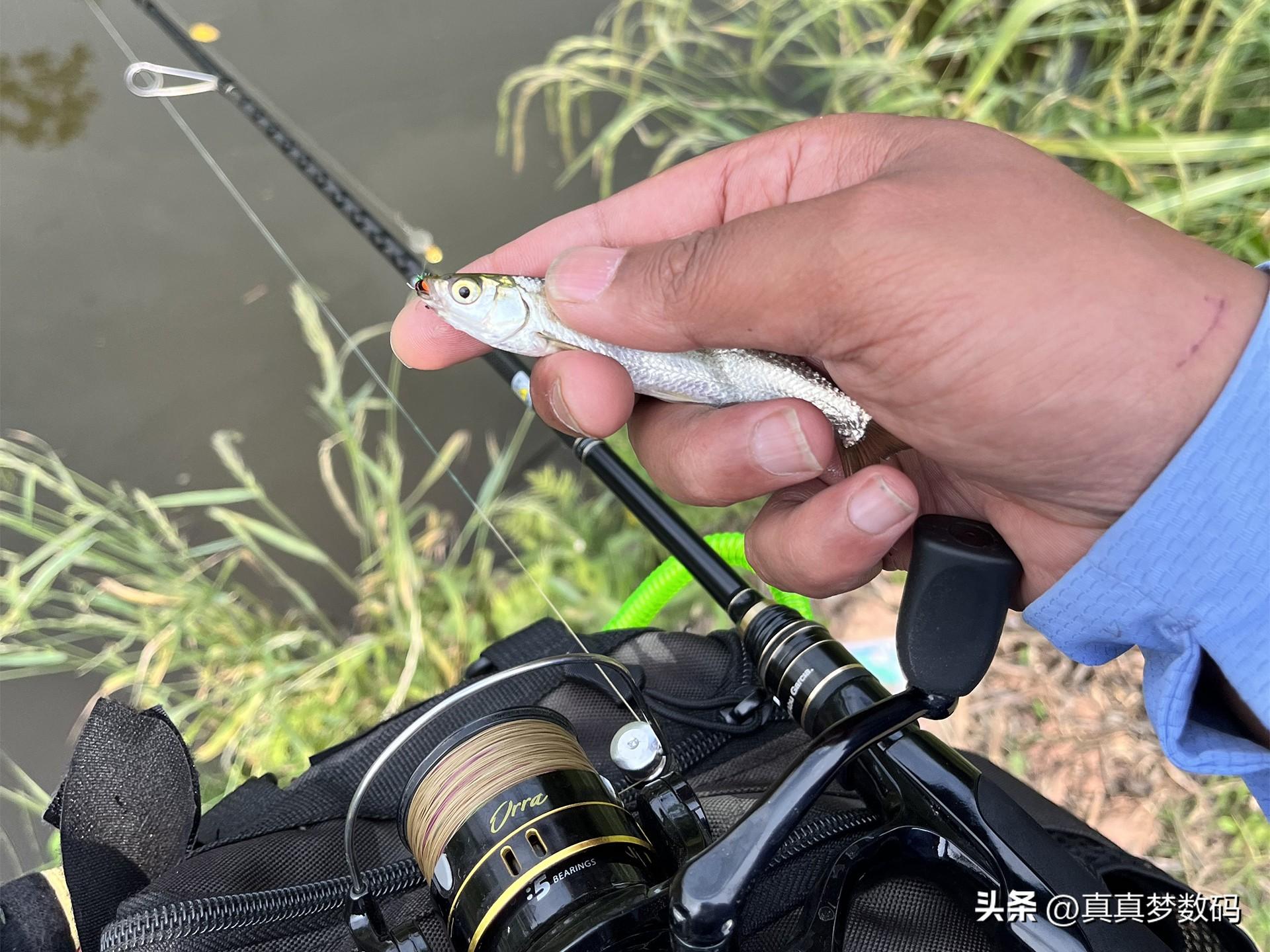 大鱼路亚竿，垂钓极致体验的探险利器