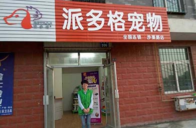 临汾宠物店，宠物世界的探索乐园