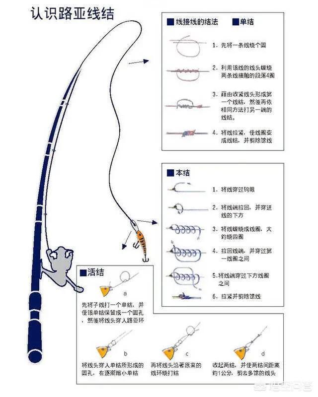 路亚绕线技巧提升钓鱼体验之道